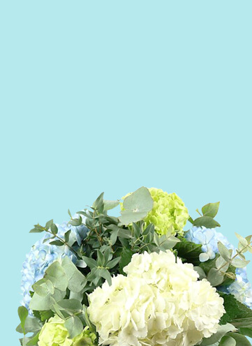 Same day Flowers Carshalton